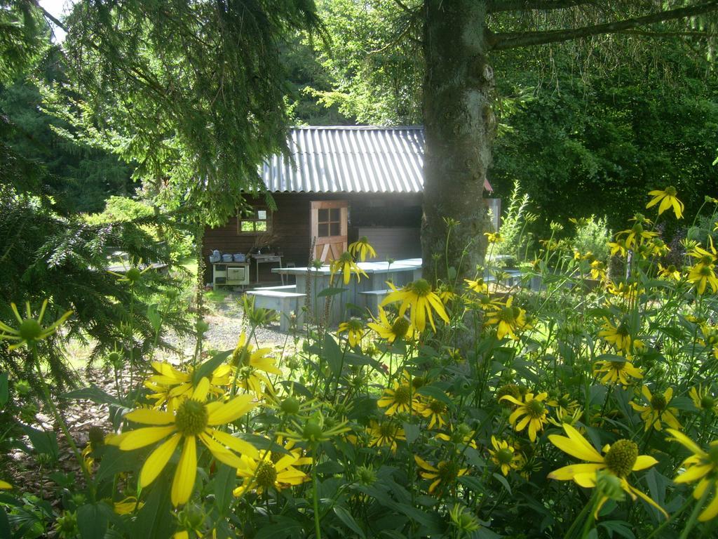 Heidehof Hellenthal别墅 外观 照片
