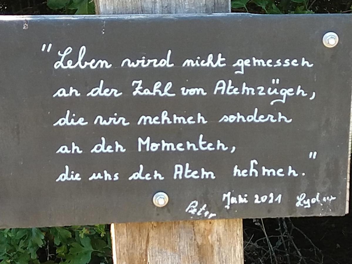 Heidehof Hellenthal别墅 外观 照片