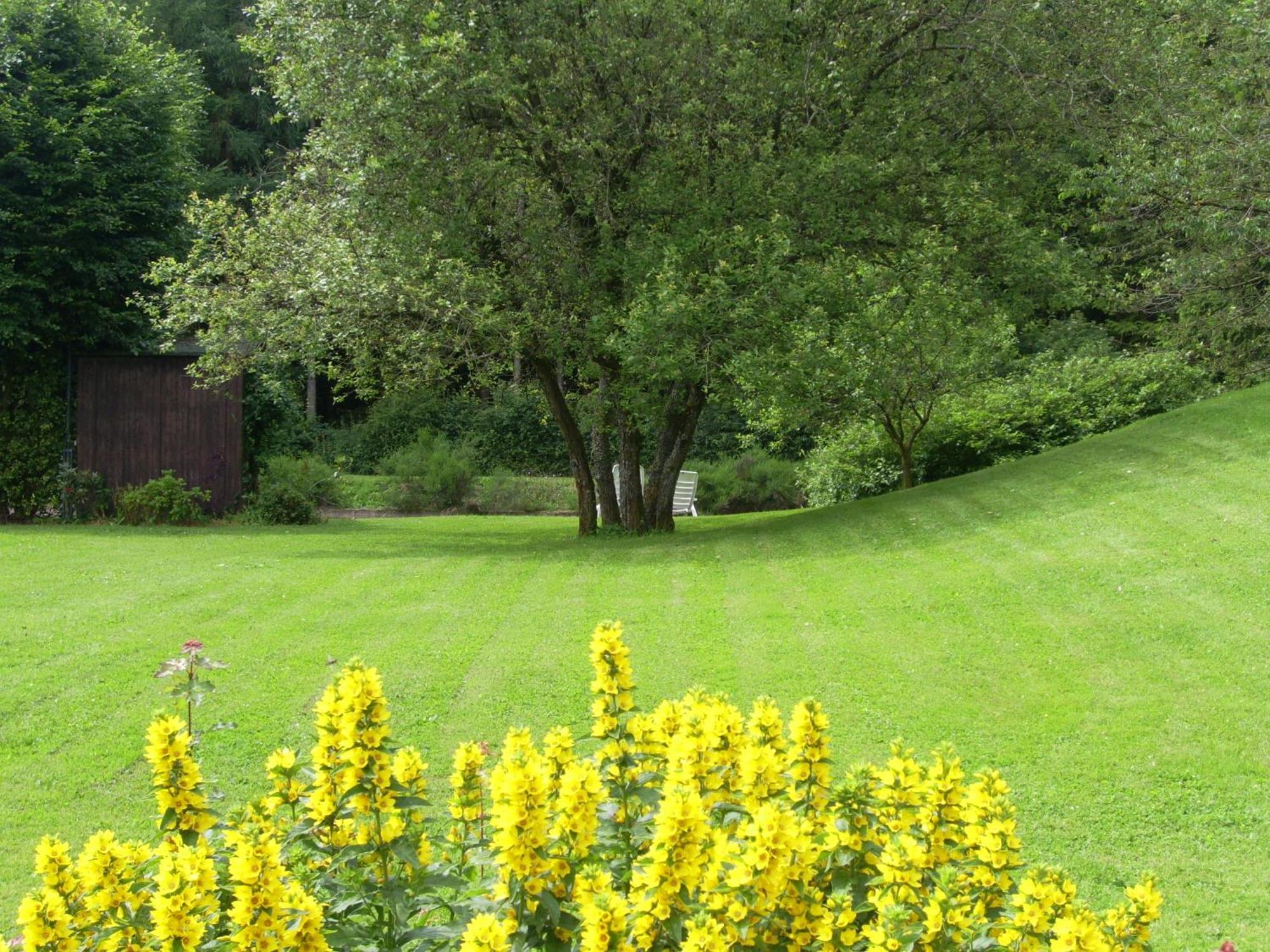 Heidehof Hellenthal别墅 外观 照片